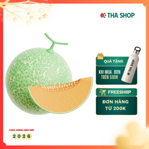 Trái Dưa Lưới (3kg/1 trái)