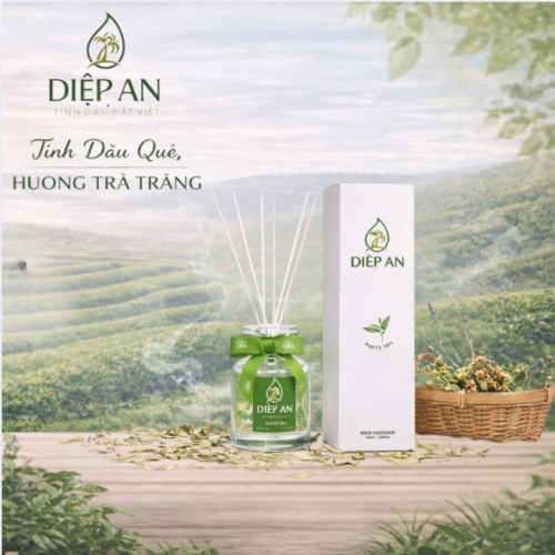 Lọ Tinh Dầu Cắm Cây Khuyếch Tán 100ml Hương Trà Trắng