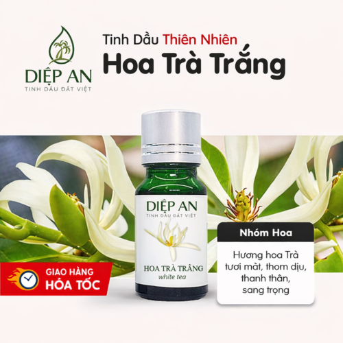 Tinh đâu hoa trà trắng Điệp An