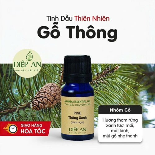 Tinh dầu Thông nguyên chất