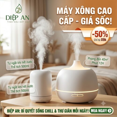 Máy xông tinh dầu